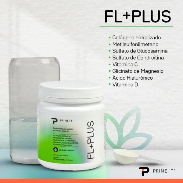 FL+PLUS características