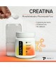 Creatina Primetech Características